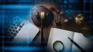 Article 8 Cybercrime Laws