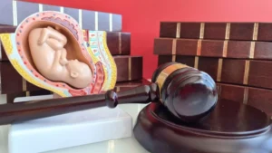 Surrogacy in Thailand law firm in Bangkok Thailand